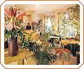Del Orchidee