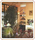 Abotel Crown Etoile